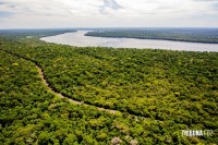 TRF-4 condena agricultor por plantio em área embargada pelo ICMBio