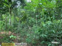 Corpo em decomposição é encontrado por agricultores no interior de Santa Helena