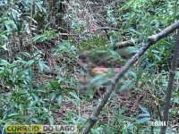 Corpo em decomposição é encontrado por agricultores no interior de Santa Helena