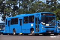 Transporte coletivo de Foz do Iguaçu recebe reforço de 12 ônibus zero km