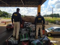 PRF faz a maior apreensão de maconha do Sul do Brasil