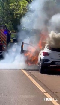 Bombeiros interveem em incêndio a veículo na Av. Tancredo Neves