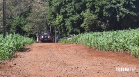 Polícia Civil de Matelândia apreende veículo carregado com cigarros contrabandeados 