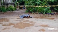 Homem é morto a tiros no Bairro Campos do Iguaçu