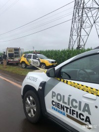 Policia Militar e Corpo de Bombeiros são acionados após achado de cadáver em STI