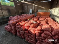 Trinta toneladas de alho e meia tonelada de doce de leite são apreendidas em Foz do Iguaçu