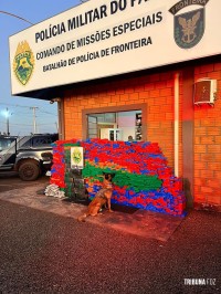 BPFRON apreende 1.312 Kg de maconha em São José das Palmeiras