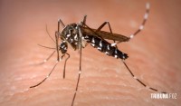 Foz do Iguaçu registra o quinto óbito por dengue em 2023