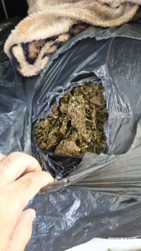 Policia Militar prende traficante que transportava 78 Kg de maconha no centro de Foz 