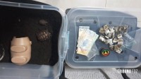 PRF prende condutor com maconha e animais proibidos na BR-277 em Céu Azul