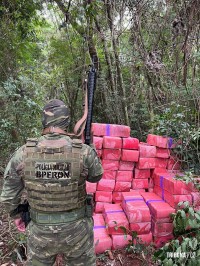 Forcas de segurança apreendem 3,3 toneladas de maconha em Santa Helena