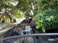 BPFRON apreende caminhão carregado com cigarros em Marechal Cândido Rondon