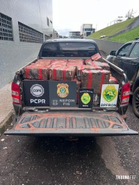 Forças de segurança apreendem 1.005,8 Kg de maconha em Santa Helena