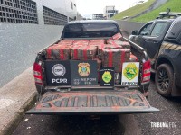 Forças de segurança apreendem 1.005,8 Kg de maconha em Santa Helena