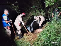 Polícia Civil e Corpo de Bombeiros localizam os  corpos de três vítimas esquartejadas em Foz do Iguaçu