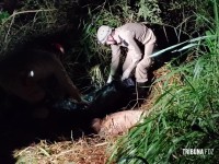 Polícia Civil e Corpo de Bombeiros localizam os  corpos de três vítimas esquartejadas em Foz do Iguaçu