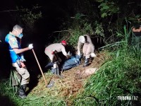 Polícia Civil e Corpo de Bombeiros localizam os  corpos de três vítimas esquartejadas em Foz do Iguaçu