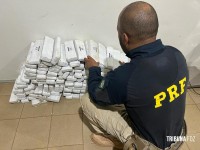 PRF prende traficante com 100 Kg de maconha após perseguição policial