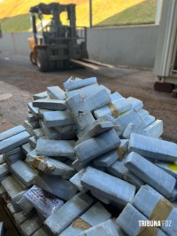 PF incinera 4,5 toneladas de drogas apreendidas na região da tríplice fronteira