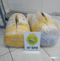 Policia Militar apreende 31 Kg de maconha na modalidade capulho no Jardim Jupira