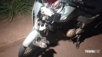 Motociclista atropelada cachorro, sofre queda e é socorrido pelo Siate