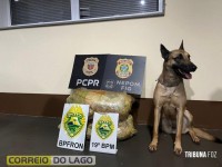 Uma pessoa é presa com drogas em distrito de Santa Helena