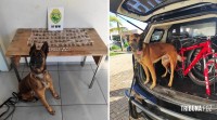 PM apreende maconha, cocaína e crack em local usado para a venda de drogas no Jardim Panorama