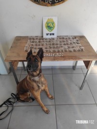 PM apreende maconha, cocaína e crack em local usado para a venda de drogas no Jardim Panorama