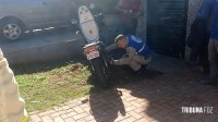 Siate socorre motociclista que atropelou cachorro na Av. República Argentina