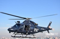 Helicóptero da PRF lançará 4 toneladas de sementes de palmeira ameaçada de extinção na Mata Atlântica