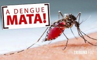 Autoridades de saúde de Foz do Iguaçu confirmam  19º óbito por dengue em 2023