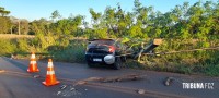 Condutora não habilitada perde o controle do veículo e colide contra um poste