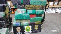 BPFRON, Polícia Civil e Polícia Federal apreendem 999,1 Kg de maconha em Santa Helena