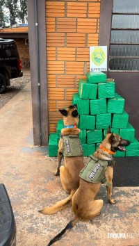 BPFRON apreende mais de 400kg de crack em Pato Bragado