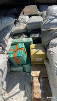 Policia Federal apreende  cerca de 1500 Kg de maconha em caminhão na BR-277 em Foz do Iguaçu