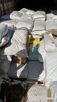 Policia Federal apreende  cerca de 1500 Kg de maconha em caminhão na BR-277 em Foz do Iguaçu