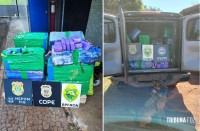 Policia Federal e forças estaduais de segurança apreendem 357 Kg de maconha em porto clandestino