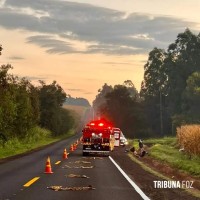 Uma pessoa morre e três ficam feridas em grave acidente entre Itaipulândia e São Miguel do Iguaçu