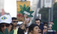 Legalização da maconha no Uruguai derrubou mitos que pautaram debate