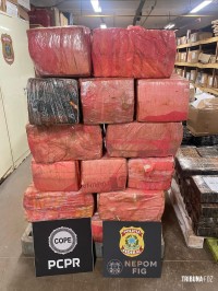 Policia Federal e Policia Civil apreendem 633 Kg de maconha em Santa Helena