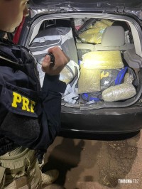 PRF apreende mais 75 Kg de Skunk em Santa Terezinha de Itaipu