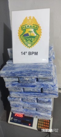 ROTAM apreende adolescente que levava 25 Kg de maconha em ônibus na BR-277