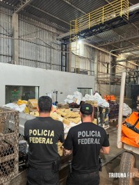 Policia Federal destrói 8,2 toneladas de drogas apreendidas em operações policiais neste ano