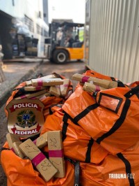 Policia Federal destrói 8,2 toneladas de drogas apreendidas em operações policiais neste ano