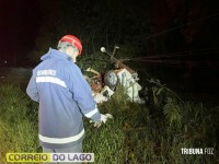 Condutor morre após colidir veículo violentamente contra poste na PR-495 em Santa Helena