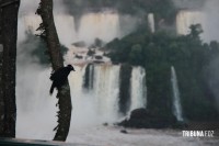 Parque Nacional do Iguaçu amplia atendimento para o feriadão da Independência