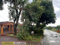 Temporal em Santa Helena: Telhados arrancados e jogados sobre a rede elétrica, postes e árvores derrubados