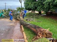 Temporal em Santa Helena: Telhados arrancados e jogados sobre a rede elétrica, postes e árvores derrubados