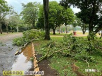 Prainha de Santa Helena: Transformador caído, rede elétrica no chão e muitas árvores são quebradas e arrancadas após temporal