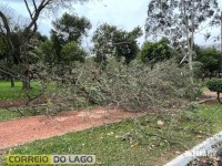 Prainha de Santa Helena: Transformador caído, rede elétrica no chão e muitas árvores são quebradas e arrancadas após temporal